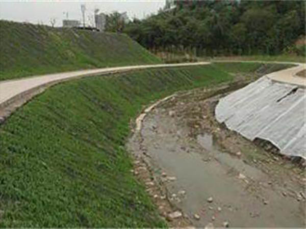 水土保護(hù)毯案例